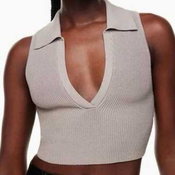 Aritzia Tops - Aritzia Babaton Sculpt Knit Polo Opal grey